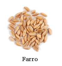 f1c9d51352cce3e9f67373a3e647b49a_1743487432_7289.png